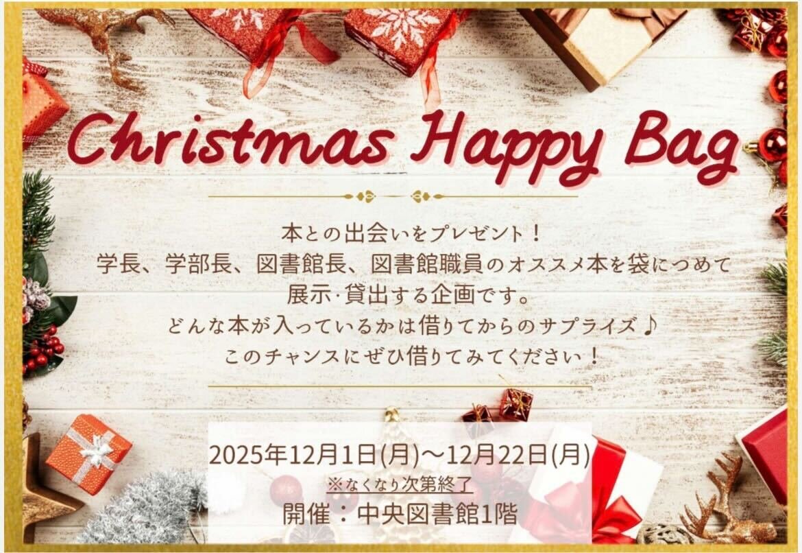 Christmashappybag2024