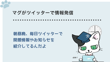 マグがツイッターで情報発信　朝昼晩、毎日ツイッターで開館情報やお知らせを紹介してるんだよ。