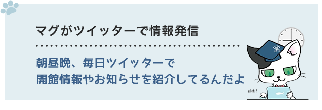 マグがツイッターで情報発信　朝昼晩、毎日ツイッターで開館情報やお知らせを紹介してるんだよ。